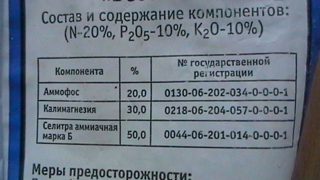 S1130002.JPG