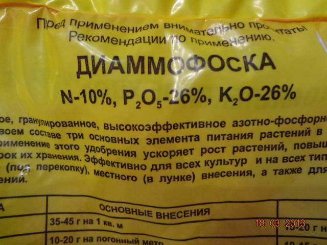 DSC01181.JPG