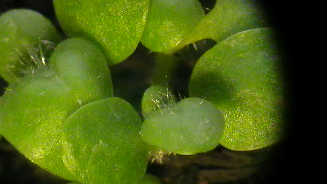 S1140002.JPG