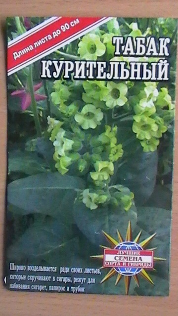S1150011.JPG