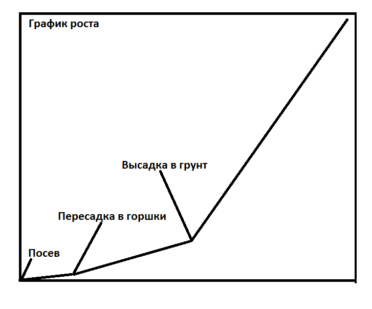 GRAPH_01.png