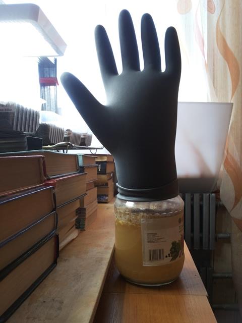 20180407_104634.jpg