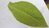 20180721_133730_651x366-01.jpg