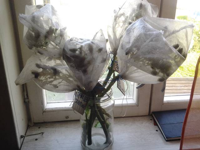 20200916_150449.jpg