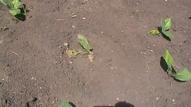 S1430025.JPG