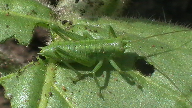 S1430016.JPG