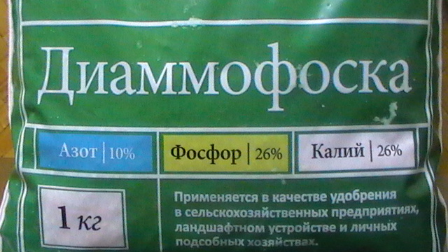 S1450001.JPG