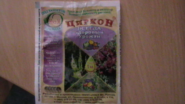 S1040003.JPG