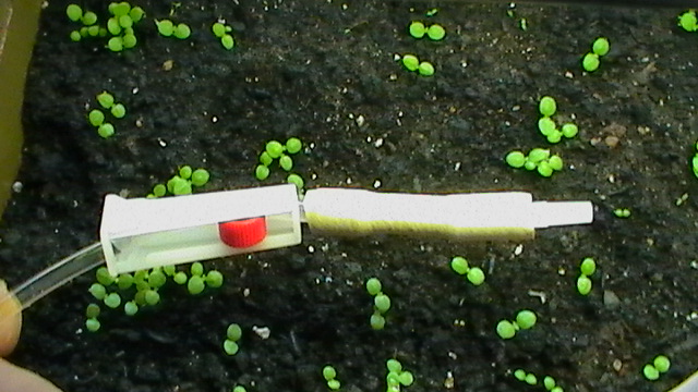 S1110001.JPG