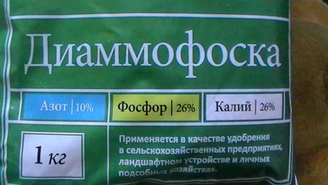 S1110015.JPG