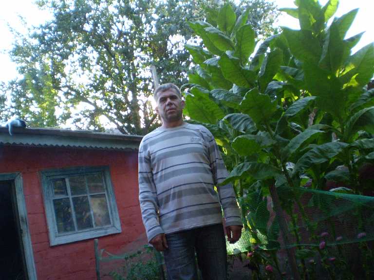 двор 3.jpg