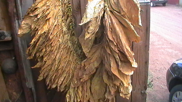 S1580034.JPG