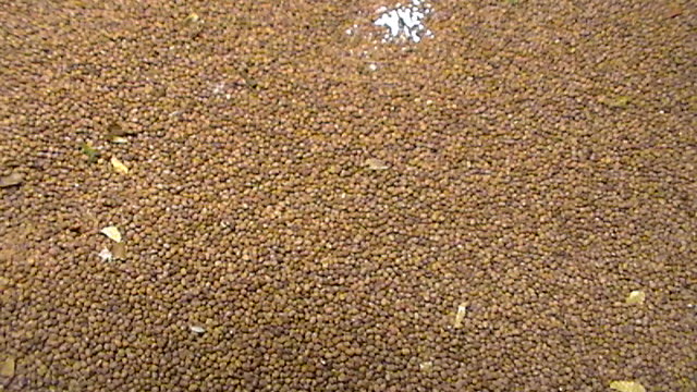 S1650009.JPG