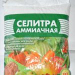 Подкормка табака!